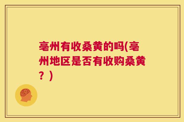 亳州有收桑黄的吗(亳州地区是否有收购桑黄?) 亳州有收桑黄的吗(亳州地区是否有收购桑黄?)
