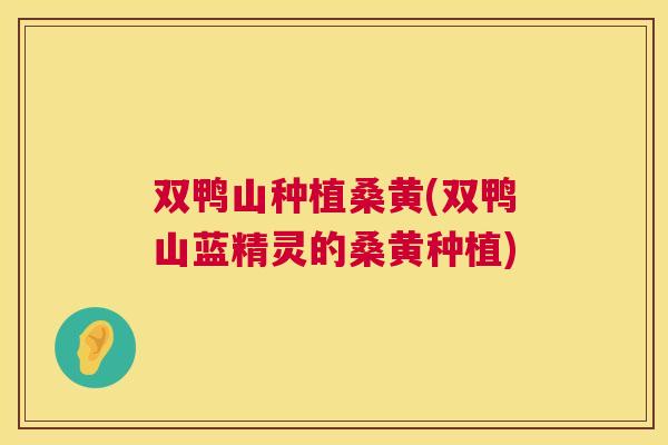 双鸭山种植桑黄(双鸭山蓝精灵的桑黄种植)