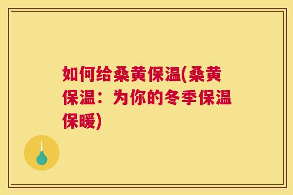 如何给桑黄保温(桑黄保温:为你的冬季保温保暖) 如何给桑黄保温(桑黄保温:为你的冬季保温保暖)
