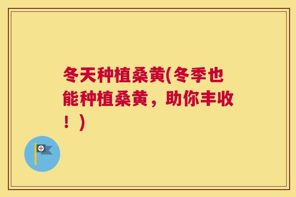 冬天种植桑黄(冬季也能种植桑黄,助你丰收!) 冬天种植桑黄(冬季也能种植桑黄,助你丰收!)
