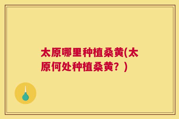 太原哪里种植桑黄(太原何处种植桑黄？)
