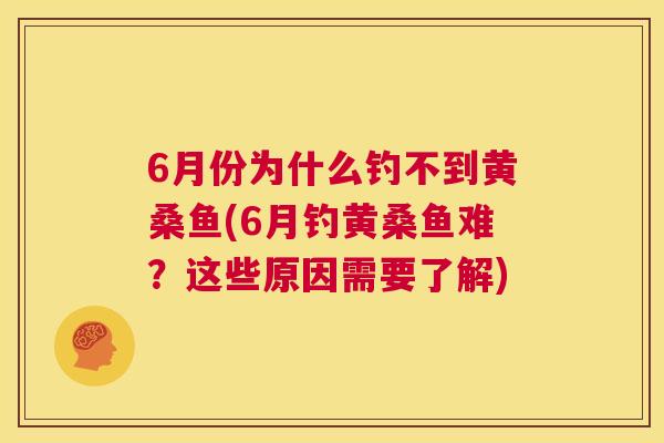 6月份为什么钓不到黄桑鱼(6月钓黄桑鱼难？这些原因需要了解)