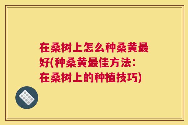 在桑树上怎么种桑黄好(种桑黄佳方法:在桑树上的种植技巧) 在桑树上怎么种桑黄好(种桑黄佳方法:在桑树上的种植技巧)