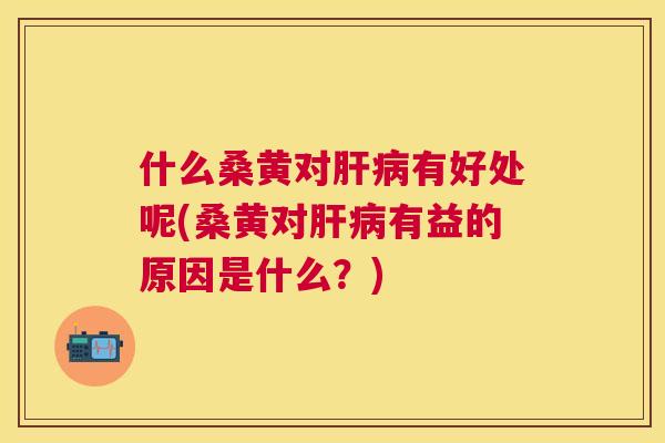 什么桑黄对有好处呢(桑黄对有益的原因是什么?) 什么桑黄对有好处呢(桑黄对有益的原因是什么?)