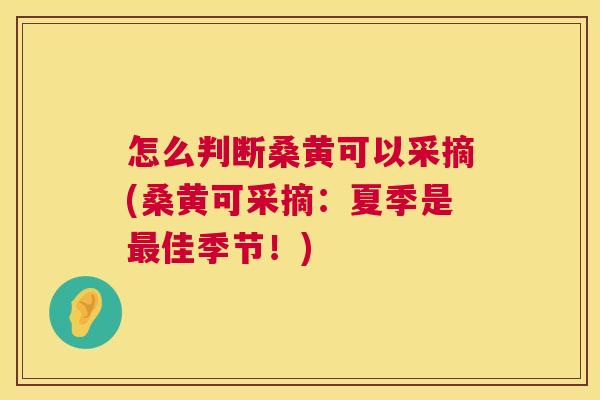 怎么判断桑黄可以采摘(桑黄可采摘:夏季是佳季节!) 怎么判断桑黄可以采摘(桑黄可采摘:夏季是佳季节!)