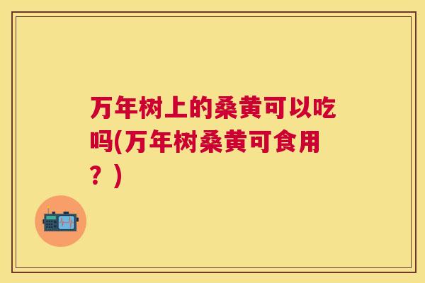 万年树上的桑黄可以吃吗(万年树桑黄可食用?) 万年树上的桑黄可以吃吗(万年树桑黄可食用?)