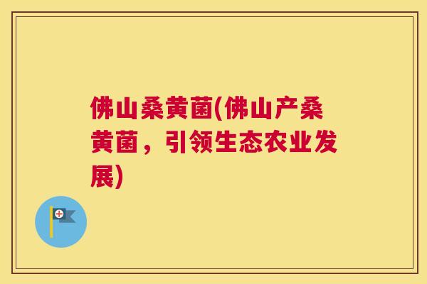佛山桑黄菌(佛山产桑黄菌,引领生态农业发展) 佛山桑黄菌(佛山产桑黄菌,引领生态农业发展)