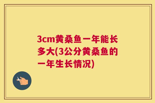 3cm黄桑鱼一年能长多大(3公分黄桑鱼的一年生长情况) 3cm黄桑鱼一年能长多大(3公分黄桑鱼的一年生长情况)