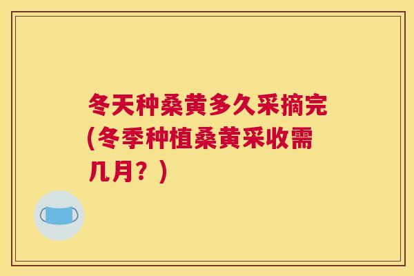 冬天种桑黄多久采摘完(冬季种植桑黄采收需几月?) 冬天种桑黄多久采摘完(冬季种植桑黄采收需几月?)