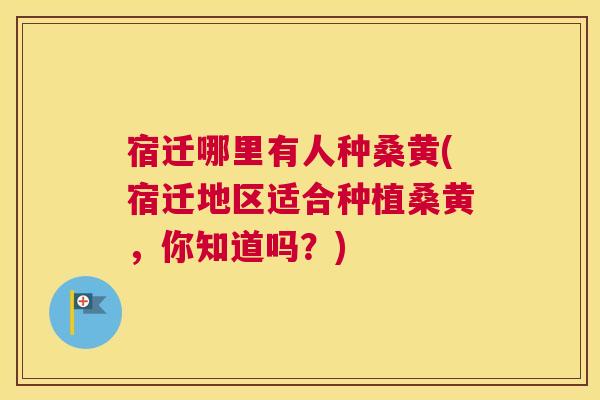 宿迁哪里有人种桑黄(宿迁地区适合种植桑黄,你知道吗?) 宿迁哪里有人种桑黄(宿迁地区适合种植桑黄,你知道吗?)