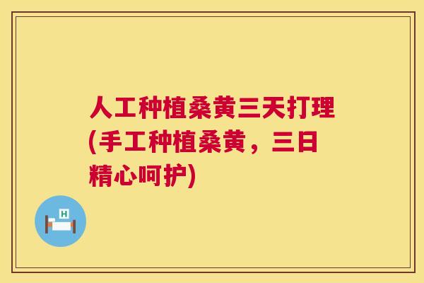 人工种植桑黄三天打理(手工种植桑黄,三日精心呵护) 人工种植桑黄三天打理(手工种植桑黄,三日精心呵护)