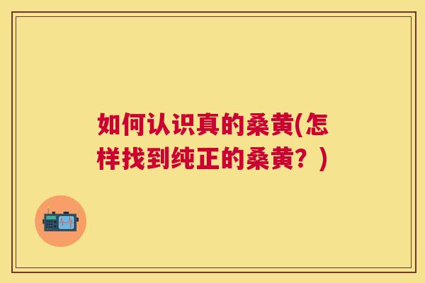 如何认识真的桑黄(怎样找到纯正的桑黄?) 如何认识真的桑黄(怎样找到纯正的桑黄?)