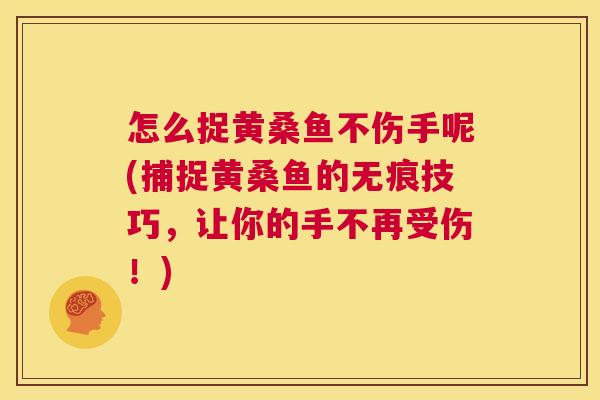 怎么捉黄桑鱼不伤手呢(捕捉黄桑鱼的无痕技巧,让你的手不再受伤!) 怎么捉黄桑鱼不伤手呢(捕捉黄桑鱼的无痕技巧,让你的手不再受伤!)