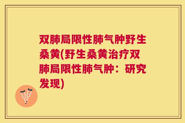 双局限性气肿野生桑黄(野生桑黄双局限性气肿:研究发现) 双局限性气肿野生桑黄(野生桑黄双局限性气肿:研究发现)