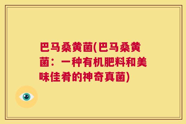 巴马桑黄菌(巴马桑黄菌：一种有机肥料和美味佳肴的神奇真菌)