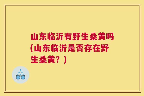 山东临沂有野生桑黄吗(山东临沂是否存在野生桑黄？)