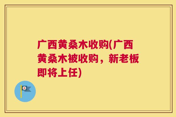 广西黄桑木收购(广西黄桑木被收购,新老板即将上任) 广西黄桑木收购(广西黄桑木被收购,新老板即将上任)