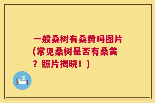 一般桑树有桑黄吗图片(常见桑树是否有桑黄?照片揭晓!) 一般桑树有桑黄吗图片(常见桑树是否有桑黄?照片揭晓!)