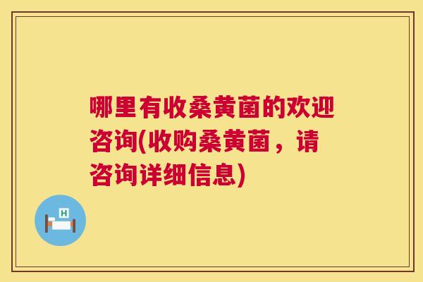 哪里有收桑黄菌的欢迎咨询(收购桑黄菌,请咨询详细信息) 哪里有收桑黄菌的欢迎咨询(收购桑黄菌,请咨询详细信息)