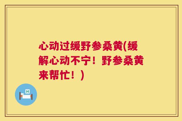 心动过缓野参桑黄(缓解心动不宁!野参桑黄来帮忙!) 心动过缓野参桑黄(缓解心动不宁!野参桑黄来帮忙!)