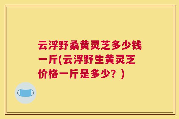 云浮野桑黄灵芝多少钱一斤(云浮野生黄灵芝价格一斤是多少?) 云浮野桑黄灵芝多少钱一斤(云浮野生黄灵芝价格一斤是多少?)