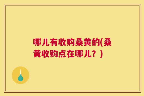 哪儿有收购桑黄的(桑黄收购点在哪儿?) 哪儿有收购桑黄的(桑黄收购点在哪儿?)