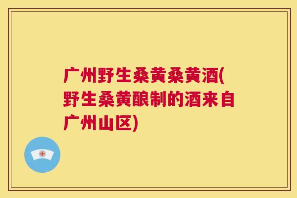 广州野生桑黄桑黄酒(野生桑黄酿制的酒来自广州山区) 广州野生桑黄桑黄酒(野生桑黄酿制的酒来自广州山区)