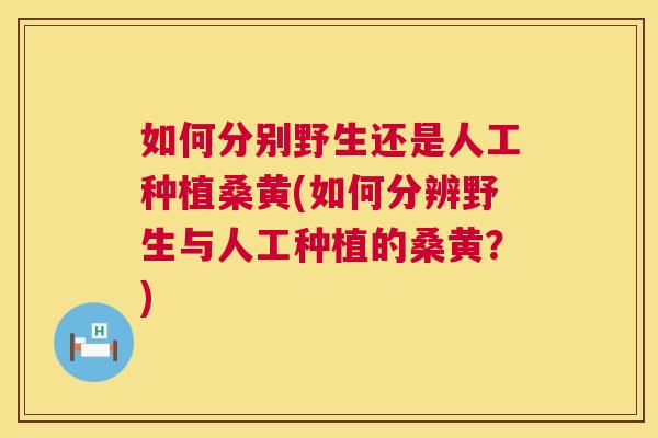 如何分别野生还是人工种植桑黄(如何分辨野生与人工种植的桑黄?) 如何分别野生还是人工种植桑黄(如何分辨野生与人工种植的桑黄?)