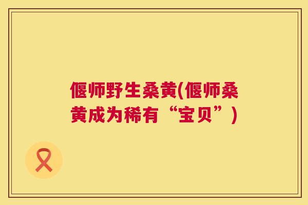 偃师野生桑黄(偃师桑黄成为稀有“宝贝”) 偃师野生桑黄(偃师桑黄成为稀有“宝贝”)