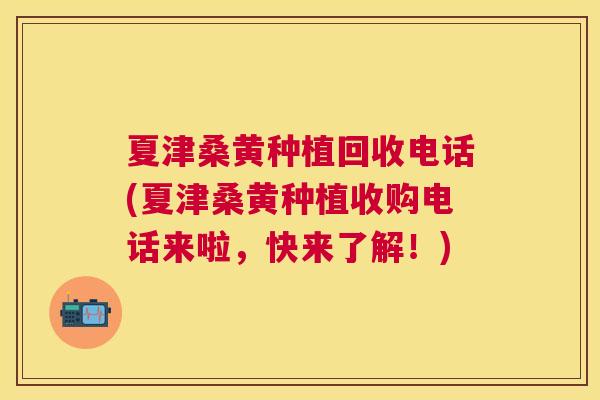 夏津桑黄种植回收电话(夏津桑黄种植收购电话来啦,快来了解!) 夏津桑黄种植回收电话(夏津桑黄种植收购电话来啦,快来了解!)