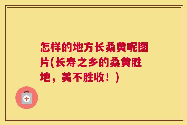 怎样的地方长桑黄呢图片(长寿之乡的桑黄胜地,美不胜收!) 怎样的地方长桑黄呢图片(长寿之乡的桑黄胜地,美不胜收!)