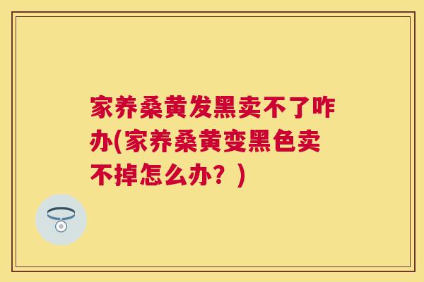 家养桑黄发黑卖不了咋办(家养桑黄变黑色卖不掉怎么办?) 家养桑黄发黑卖不了咋办(家养桑黄变黑色卖不掉怎么办?)