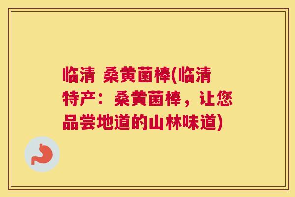 临清 桑黄菌棒(临清特产:桑黄菌棒,让您品尝地道的山林味道) 临清 桑黄菌棒(临清特产:桑黄菌棒,让您品尝地道的山林味道)