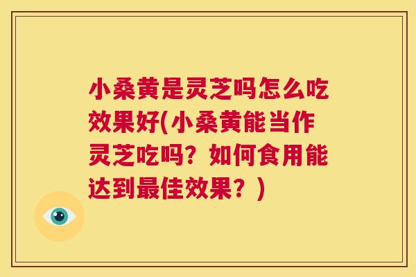 小桑黄是灵芝吗怎么吃效果好(小桑黄能当作灵芝吃吗？如何食用能达到佳效果？)