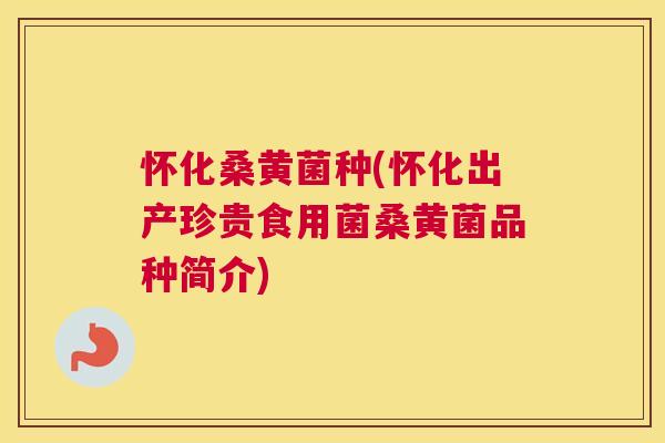怀化桑黄菌种(怀化出产珍贵食用菌桑黄菌品种简介)