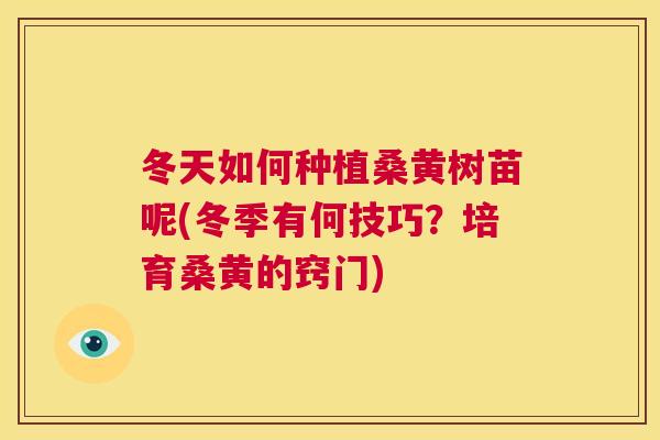 冬天如何种植桑黄树苗呢(冬季有何技巧?培育桑黄的窍门) 冬天如何种植桑黄树苗呢(冬季有何技巧?培育桑黄的窍门)