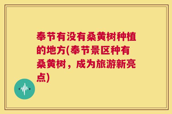 奉节有没有桑黄树种植的地方(奉节景区种有桑黄树,成为旅游新亮点) 奉节有没有桑黄树种植的地方(奉节景区种有桑黄树,成为旅游新亮点)