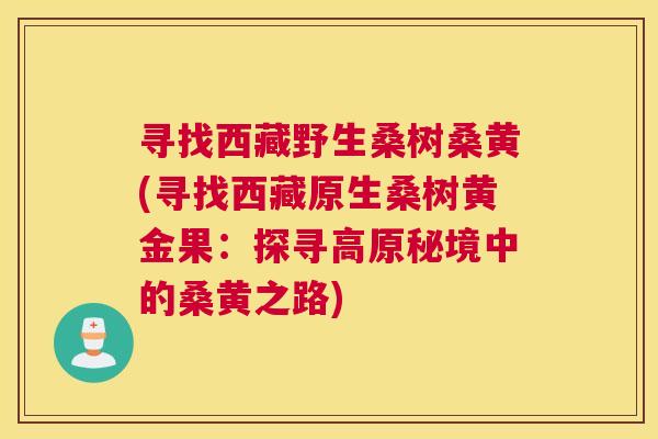 寻找西藏野生桑树桑黄(寻找西藏原生桑树黄金果:探寻高原秘境中的桑黄之路) 寻找西藏野生桑树桑黄(寻找西藏原生桑树黄金果:探寻高原秘境中的桑黄之路)