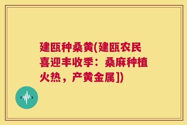 建瓯种桑黄(建瓯农民喜迎丰收季：桑麻种植火热，产黄金属])