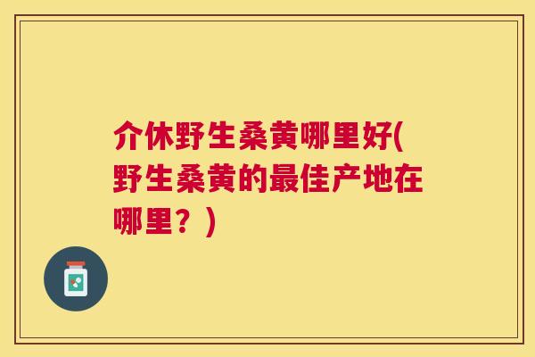 介休野生桑黄哪里好(野生桑黄的佳产地在哪里?) 介休野生桑黄哪里好(野生桑黄的佳产地在哪里?)