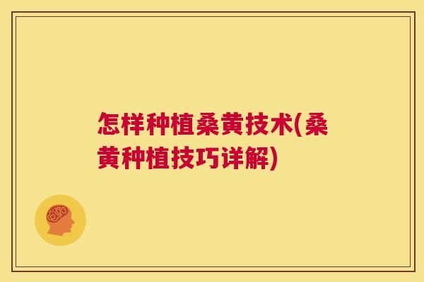 怎样种植桑黄技术(桑黄种植技巧详解) 怎样种植桑黄技术(桑黄种植技巧详解)