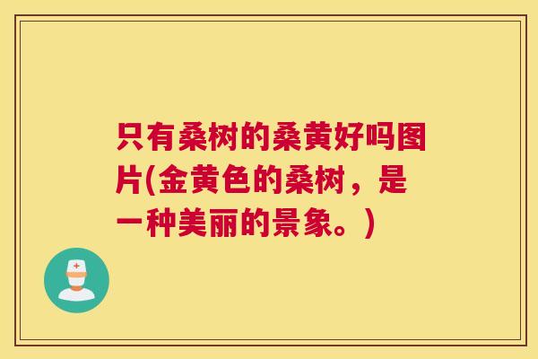 只有桑树的桑黄好吗图片(金黄色的桑树,是一种美丽的景象。) 只有桑树的桑黄好吗图片(金黄色的桑树,是一种美丽的景象。)