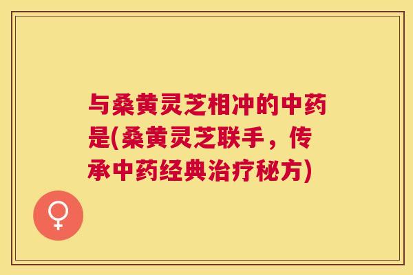 与桑黄灵芝相冲的是(桑黄灵芝联手,传承经典秘方) 与桑黄灵芝相冲的是(桑黄灵芝联手,传承经典秘方)