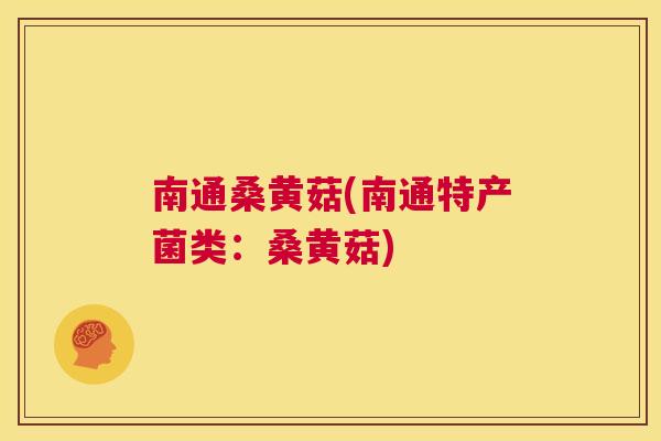 南通桑黄菇(南通特产菌类:桑黄菇) 南通桑黄菇(南通特产菌类:桑黄菇)