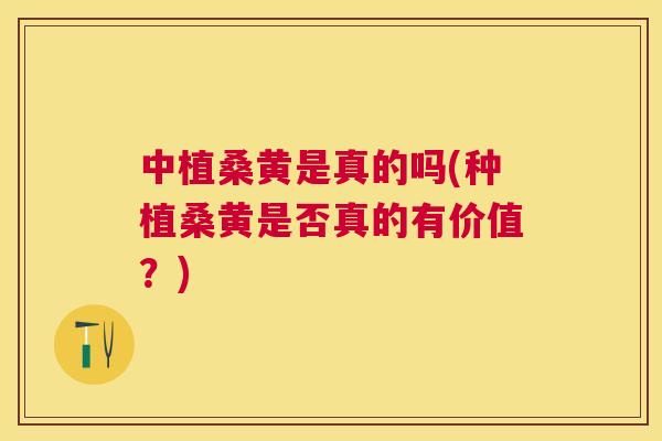 中植桑黄是真的吗(种植桑黄是否真的有价值?) 中植桑黄是真的吗(种植桑黄是否真的有价值?)