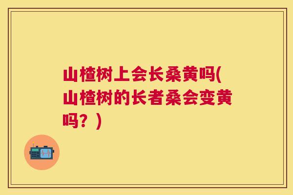 山楂树上会长桑黄吗(山楂树的长者桑会变黄吗?) 山楂树上会长桑黄吗(山楂树的长者桑会变黄吗?)