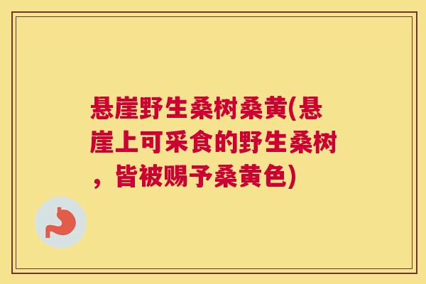 悬崖野生桑树桑黄(悬崖上可采食的野生桑树,皆被赐予桑黄色) 悬崖野生桑树桑黄(悬崖上可采食的野生桑树,皆被赐予桑黄色)