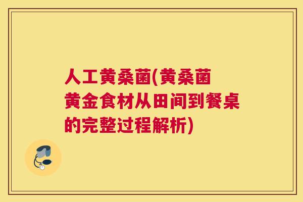 人工黄桑菌(黄桑菌 黄金食材从田间到餐桌的完整过程解析) 人工黄桑菌(黄桑菌 黄金食材从田间到餐桌的完整过程解析)