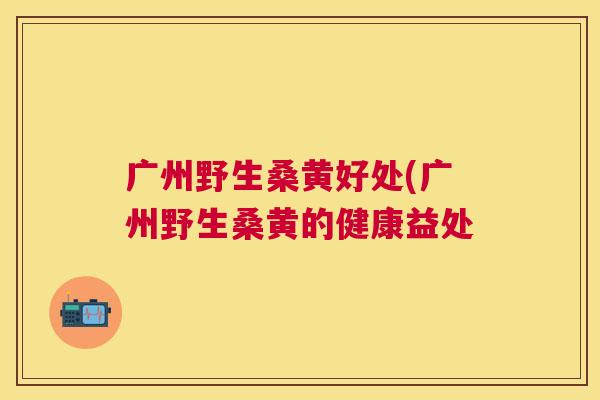 广州野生桑黄好处(广州野生桑黄的健康益处 广州野生桑黄好处(广州野生桑黄的健康益处