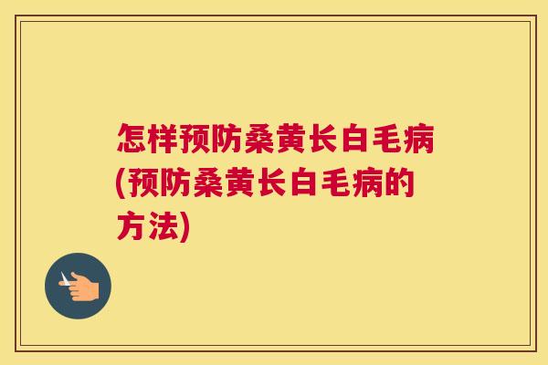 怎样桑黄长白毛(桑黄长白毛的方法) 怎样桑黄长白毛(桑黄长白毛的方法)
